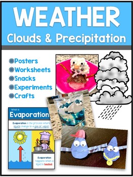Preview of Weather - Clouds & Precipitation Early Elementary