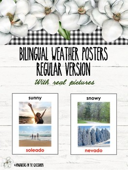 Preview of Bilingual Weather Posters (English/Spanish)