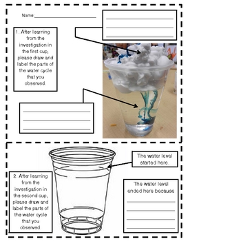 Weather In A Cup - Water Cycle by The Teaching Reef | TpT