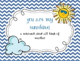 Weather Mini unit (You are my sunshine!)