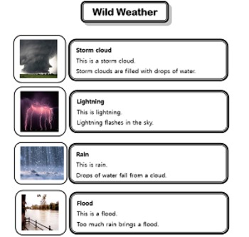 Preview of Weather - Natural Disasters Vocabulary Handout