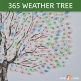 Weather Observation Tree | Forest School Weather Tree | Mo