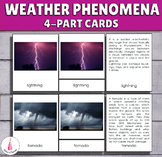 Weather Phenomena Montessori 4-part cards