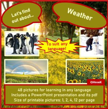 Preview of Weather Picture cards Exploring