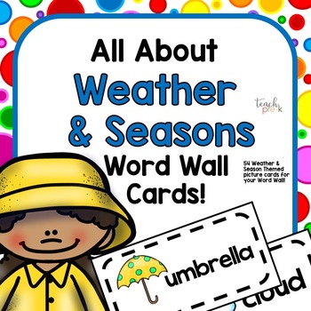 Preview of Weather & Seasons Word Wall Picture Cards