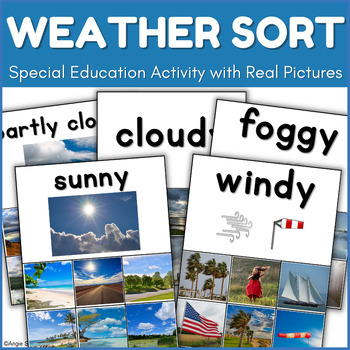 Preview of Weather Sort Activity Real Pictures Special Education Science Center