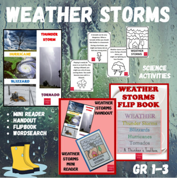 Preview of Weather Storms Activities & Mini Book Reader