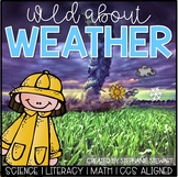 Weather Unit - Seasons, Meteorologist, Water Cycle, Clouds