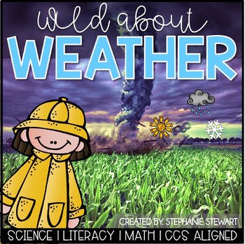 Preview of Weather Unit - Seasons, Meteorologist, Water Cycle, Clouds, Weather Tools & more