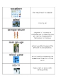 Weather Vocabulary Cards - Editable - Science - Weather Unit