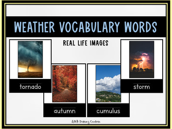 Preview of Weather Vocabulary Picture Cards