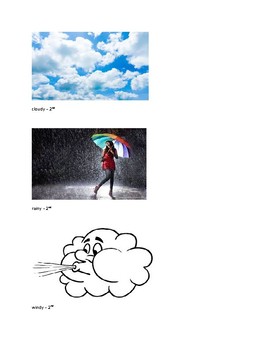 Preview of Weather Vocabulary picture cards