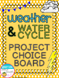 Weather & Water Cycle Project Choice Board