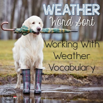 Preview of Weather Word Sort - Common Core Aligned
