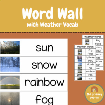 Preview of Weather Word Wall