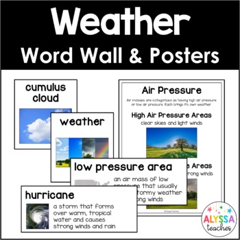 Preview of Weather Word Wall and Poster Set (SOL 4.4)