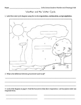 weather and climate worksheets by for the birds in third tpt