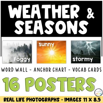 Preview of Weather and Seasons - Vocabulary Posters - Photographs - ESL