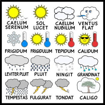 Preview of Weather and Seasons in Latin Printables and Posters