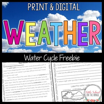 Preview of Weather and Water Cycle FREEBIE | Print and Digital