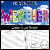 Weather and Water Cycle FREEBIE | Print and Digital