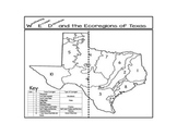 Weathering, Erosion, and Deposition in the Ecoregions of Texas