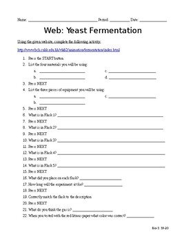 Preview of Web Activity on Yeast Fermentation