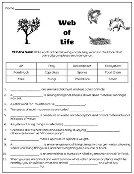 Web of Life Unit Assessment - Mystery Science by Maria Grant | TPT