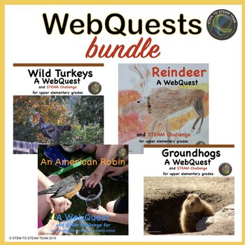 Preview of WebQuest and STEM Challenges Bundle for Distance Learning