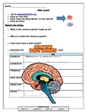 WebQuest on Nervous System and Brain