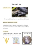 Webbed Feet Experiment