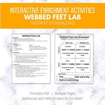 Preview of Webbed feet lab for Kindergarten, Animal Feet Adaptations, Preschool, Fun