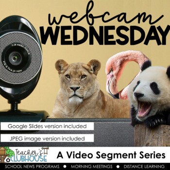 Preview of Webcam Wednesday - Video Segment Series