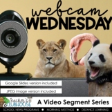 Webcam Wednesday - Video Segment Series