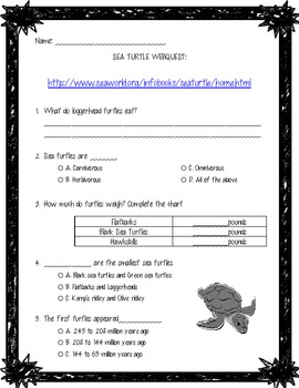 Preview of Webquest About Sea Turtles