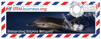Preview of Webquest Researching Dolphins Reefs Tourism
