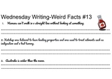 Wednesday Writing 11-20 (bell ringers) *NEW*