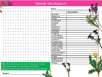 Weeds Wordsearch Puzzle Sheet Starter Activity Keywords Plants Nature