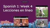 Week Lesson for Remote Learning for Spanish 1 (PearDeck an