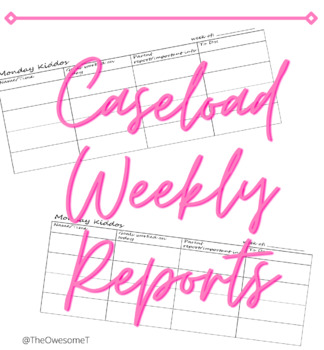 Preview of Weekly Caseload Checklist