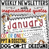 January Weekly Newsletter Template Editable Classroom News