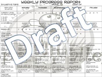 Preview of Weekly Progress Report