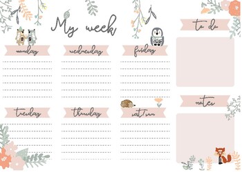 Preview of Weekly Schedule Printable,Hourly Planner,Weekly Organizer,Weekly Printable