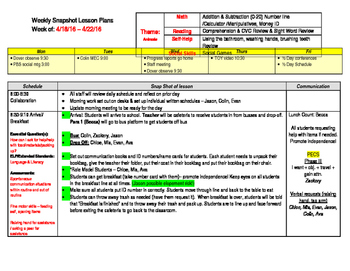 Preview of Weekly Snapshot Lesson Plan