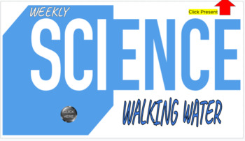 Preview of Weekly Virtual Science Activity - Walking Water