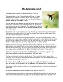 Weird Animals/The Tarantula Hawk Article