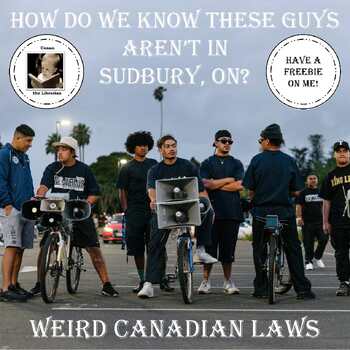 Preview of Weird Canadian Laws