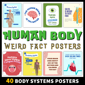 Preview of Weird Human Body Systems Science Fact Posters | Classroom Decor Bulletin Board