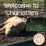 Charlotte's Web - A Novel Study
