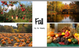 Welcome to Fall: A story about Fall